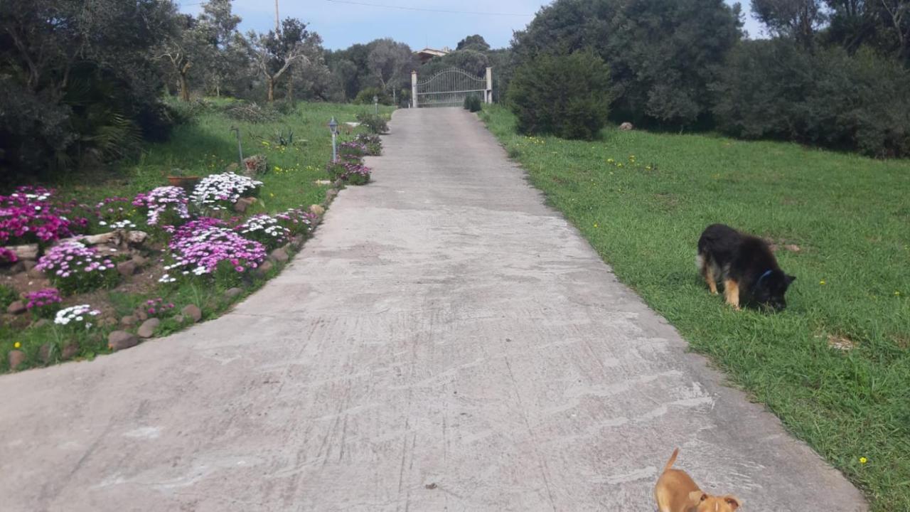 La_Casa_Di_ Willy Villa Canai Kültér fotó